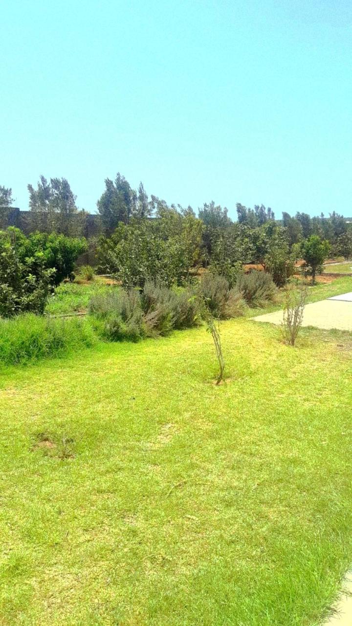 Ferme Prive Avec Piscine Villa ซาฟี ภายนอก รูปภาพ
